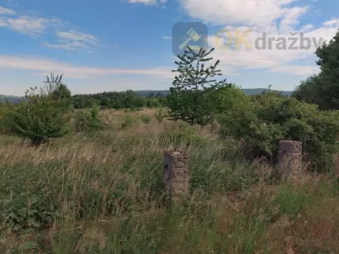 Dražba pozemku pro bydlení, Lešany, 966 m2