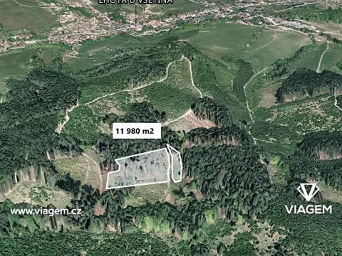 Prodej lesa, Lhota u Vsetína, 11980 m2