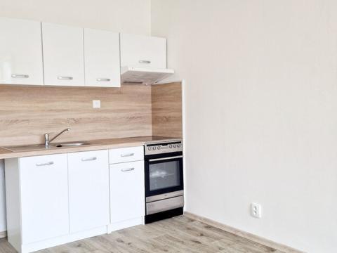 Pronájem bytu 1+kk, Havířov - Šumbark, Letní, 30 m2