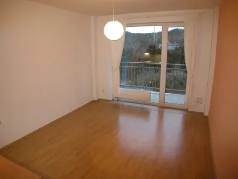 Pronájem bytu 1+kk, Brno, Božetěchova, 28 m2