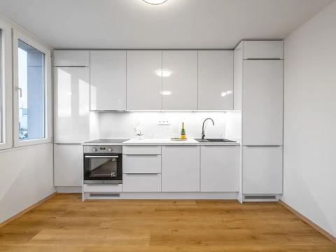 Prodej bytu 3+kk, Praha - Braník, Novodvorská, 56 m2