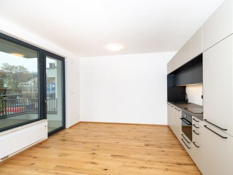 Pronájem bytu 2+kk, Praha - Nusle, Závišova, 42 m2