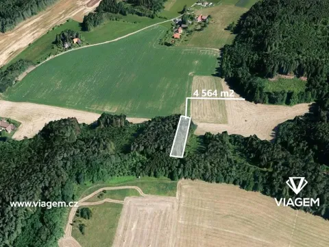 Prodej podílu lesa, Bílá, 1141 m2