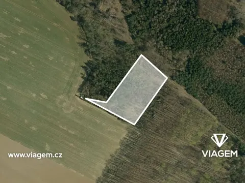 Prodej podílu lesa, Mělnické Vtelno, 980 m2