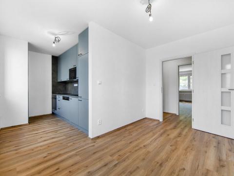 Pronájem bytu 1+1, Chrášťany - Doubravka, 57 m2