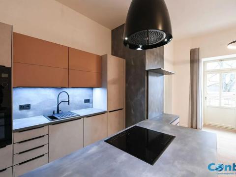 Pronájem bytu 2+kk, Praha - Žižkov, Chlumova, 61 m2