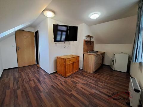 Pronájem bytu 1+kk, Neratovice, Hlavní, 18 m2