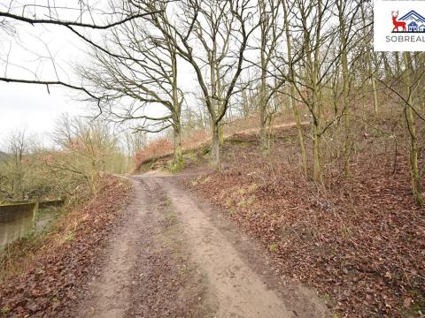 Prodej zahrady, Ústí nad Labem, 3606 m2