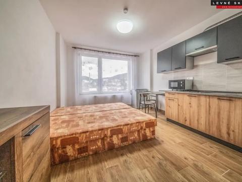 Pronájem bytu 1+kk, Ústí nad Labem, Čajkovského, 30 m2