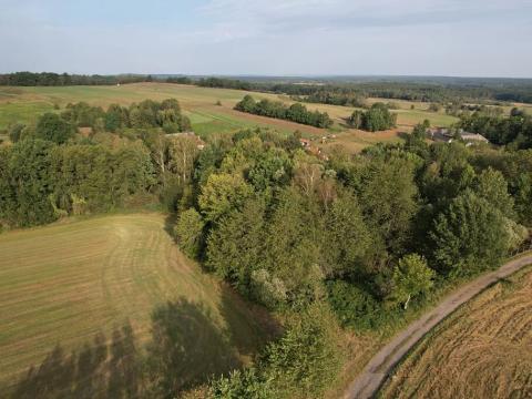 Prodej pozemku pro bydlení, Nové Hrady, 2774 m2