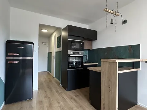 Pronájem bytu 1+kk, Praha - Chodov, Čenětická, 23 m2