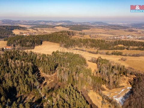 Prodej lesa, Čkyně - Onšovice, 7489 m2