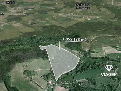 Prodej podílu lesa, Bánov, 68814 m2