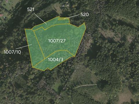Prodej lesa, Třinec, 70011 m2