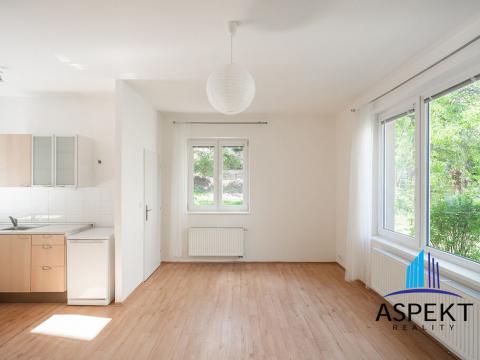 Pronájem bytu 1+kk, Praha - Dejvice, Na pískách, 28 m2