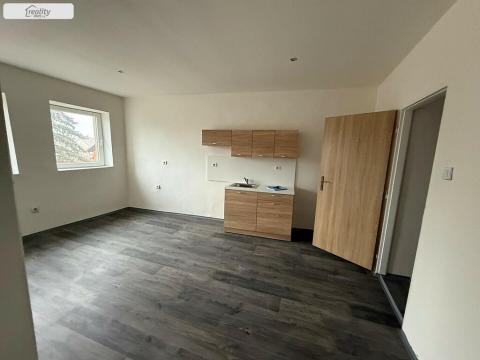 Pronájem bytu 1+kk, Chabařovice, Nádražní, 25 m2