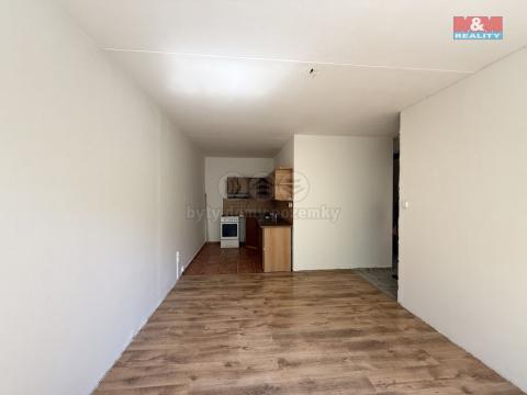 Prodej bytu 2+kk, Most, F. L. Čelakovského, 40 m2