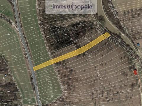 Prodej louky, Ždánice, 2540 m2