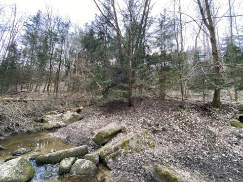 Prodej pozemku, Slavičky - Pozďátky, 580 m2