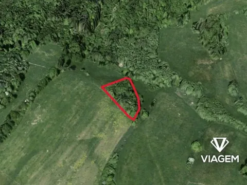 Prodej zahrady, Dolní Habartice, 4238 m2