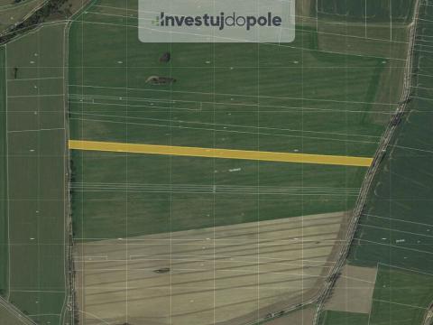 Prodej pole, Olešná, 2005 m2