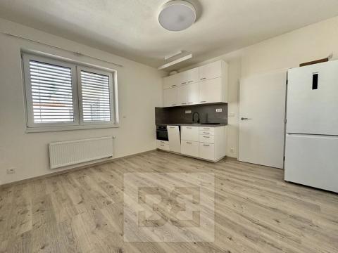 Pronájem bytu 1+kk, Brno, Křenová, 30 m2