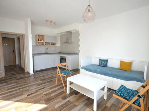 Pronájem bytu 1+kk, Frýdek-Místek, Hasičská, 31 m2