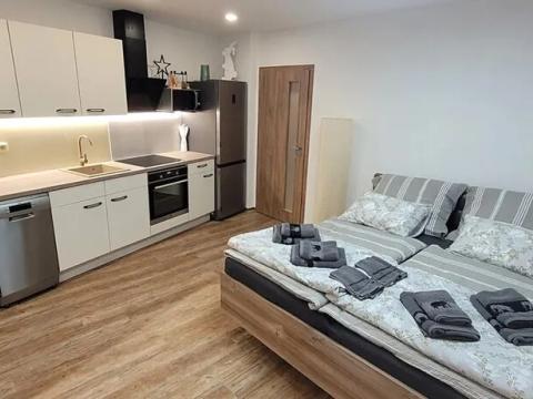 Pronájem bytu 1+kk, Luhačovice, Masarykova, 35 m2