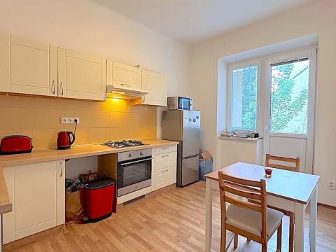 Pronájem bytu 1+1, Brno, Havlišova, 49 m2