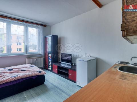 Prodej bytu 1+kk, Nové Sedlo, Sadová, 20 m2