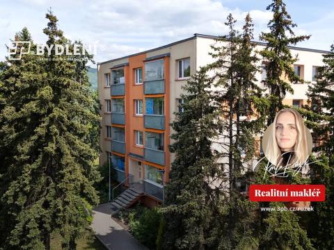 Prodej bytu 3+1, Teplice, Gagarinova, 67 m2