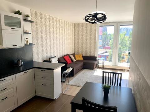 Pronájem bytu 2+kk, Praha - Žižkov, Olgy Havlové, 54 m2