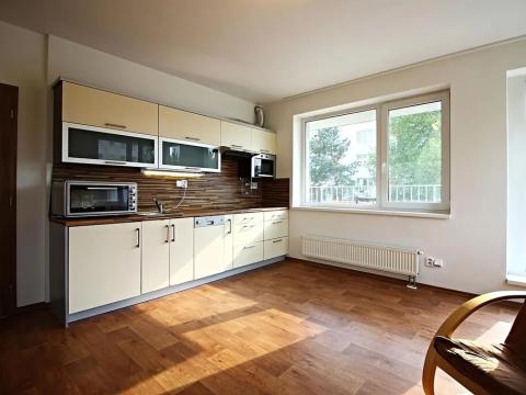 Pronájem bytu 1+kk, Brno, Purkyňova, 45 m2