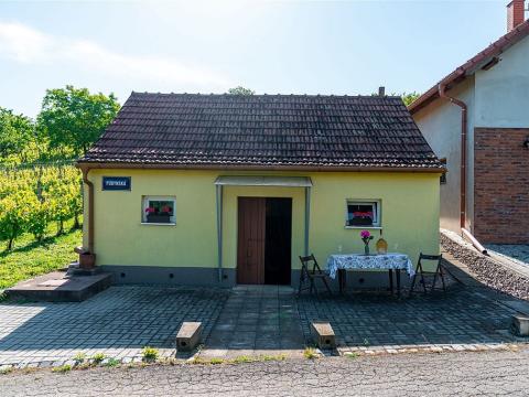 Prodej ostatní, Velké Bílovice
