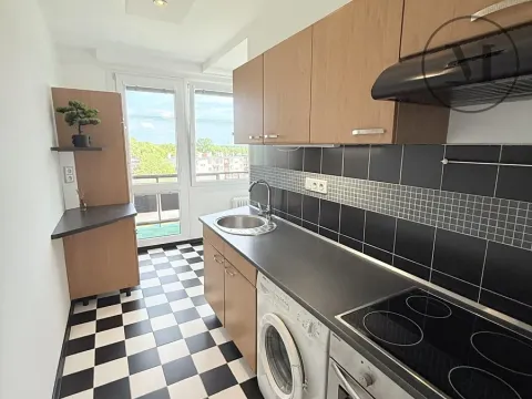 Pronájem bytu 2+1, Veselí nad Lužnicí, Pod Markem, 60 m2
