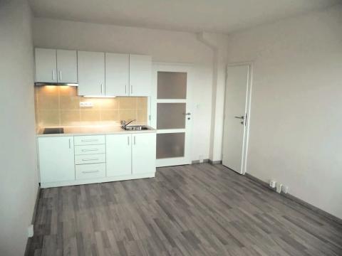 Pronájem bytu 1+kk, Praha - Hodkovičky, Pod lysinami, 30 m2