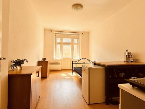 Pronájem bytu 1+kk, Praha - Žižkov, Buchovcova, 24 m2