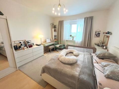 Pronájem bytu 2+kk, Praha - Nusle, U Jedličkova ústavu, 65 m2