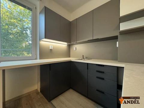 Pronájem bytu 1+kk, Havířov, Marušky Kudeříkové, 22 m2
