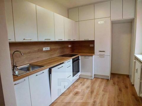 Pronájem bytu 2+kk, Plzeň, Pod Švabinami, 60 m2