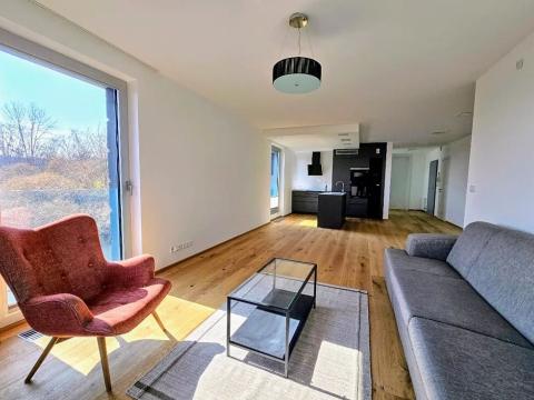 Pronájem bytu 3+kk, Praha - Smíchov, U Dívčích hradů, 123 m2