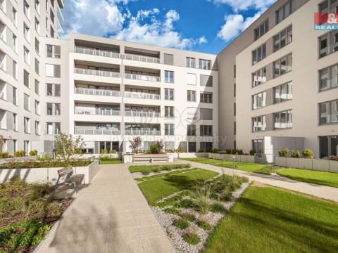 Pronájem bytu 2+kk, Plzeň, Stehlíkova, 55 m2