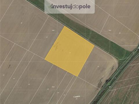 Prodej pole, Spálené Poříčí, 16290 m2