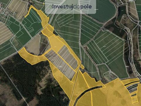 Prodej lesa, Golčův Jeníkov, 17535 m2