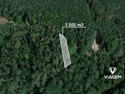 Prodej podílu lesa, Lužnice, 751 m2