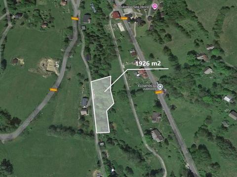 Prodej podílu lesa, Zlatá Olešnice, 481 m2