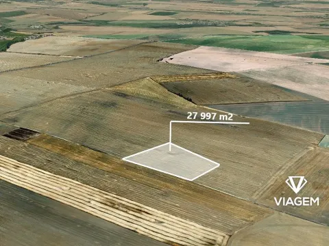 Prodej podílu pole, Moravské Budějovice, 7311 m2