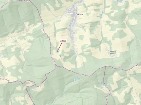 Dražba lesa, Zděchov, 2467 m2
