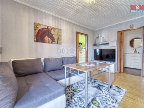 Prodej bytu 3+1, Líně, U Kotelny, 60 m2