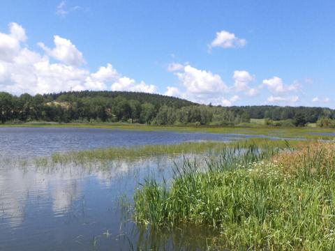 Prodej pozemku, Lipí - Kaliště u Lipí, 480 m2